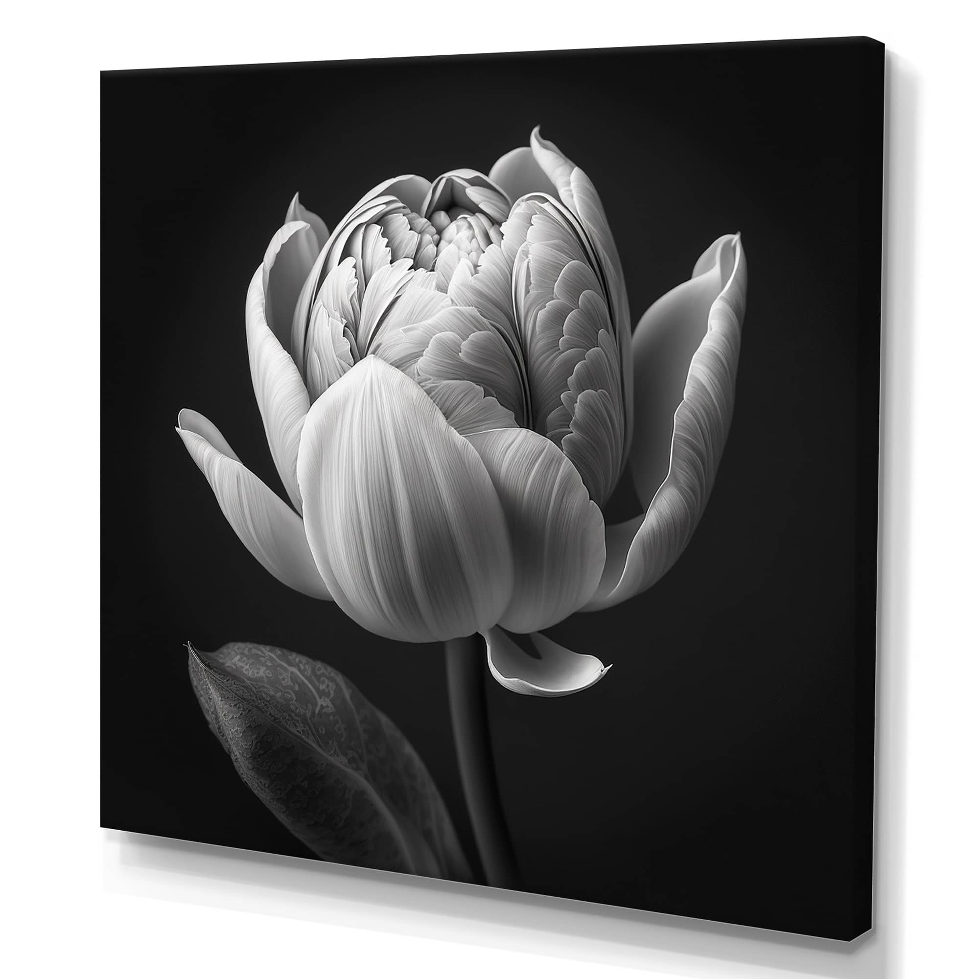 Designart "Closeup Of Black And White Tulip I" Floral Tulip Canvas